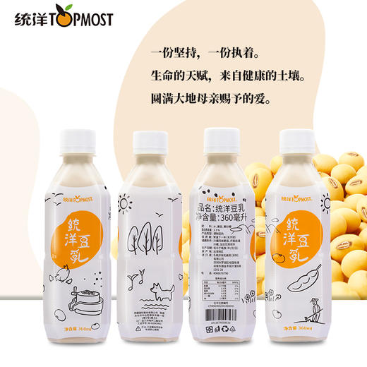 优选 | 统洋 黑豆奶&黄豆乳 360ml 24瓶/箱 商品图10