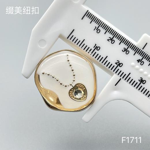 F1711 商品图4