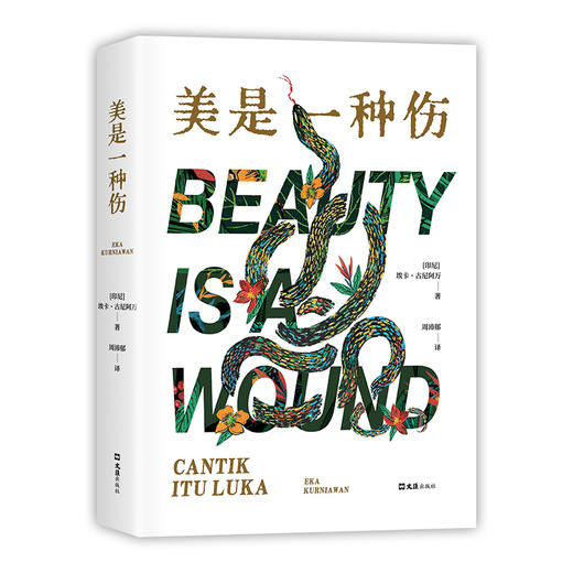 美是一种伤 商品图3
