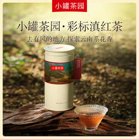 小罐茶园 滇红茶 彩标单罐装 5A中国茶  125g【现货】