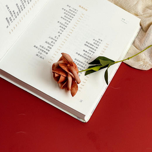 【签名版】倾听未来的声音 艾琳主编 青少年现代诗歌 商品图7