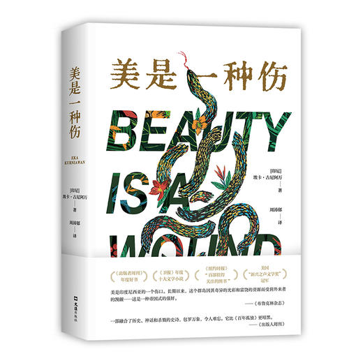 美是一种伤 商品图5