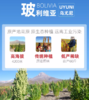 萨利纳斯营养三色藜麦，玻利维亚进口，生产日期最新，【规格|净含量】1000克、2500克 商品缩略图1
