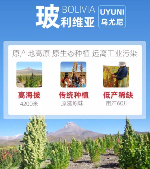 萨利纳斯营养三色藜麦，玻利维亚进口，生产日期最新，【规格|净含量】1000克、2500克 商品图1