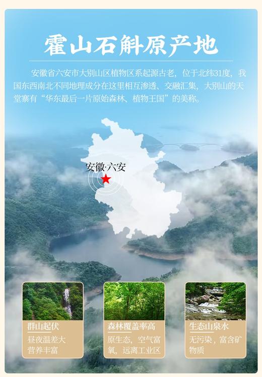 正宗霍山铁皮石斛 特级鲜条 商品图2