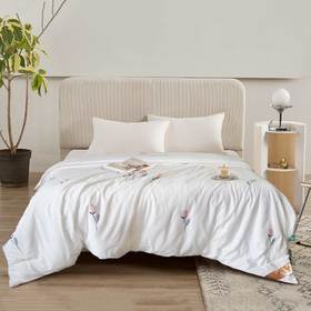 【梦兰厅】B7F 恬雅亲肤春秋被