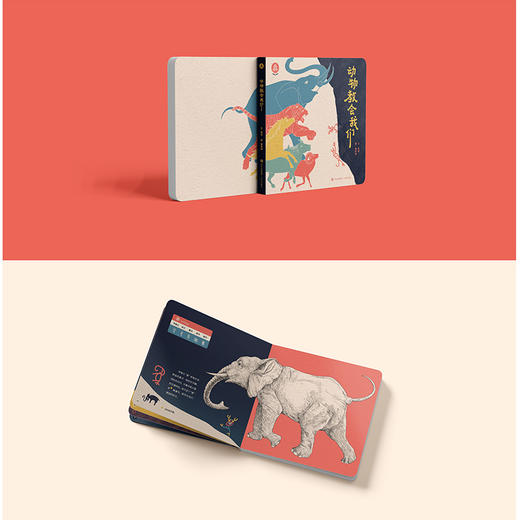 五折特惠丨“甲骨文绘本”系列（全10册，中央美院绘本创作工作室历时3年精心打造，传承甲骨文文化，开启趣味汉字启蒙。） 商品图6