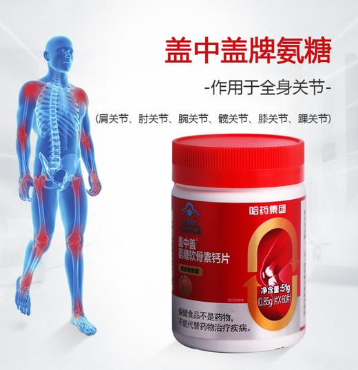 盖中盖氨糖软骨素维生素D钙片60粒/瓶*3瓶 商品图3