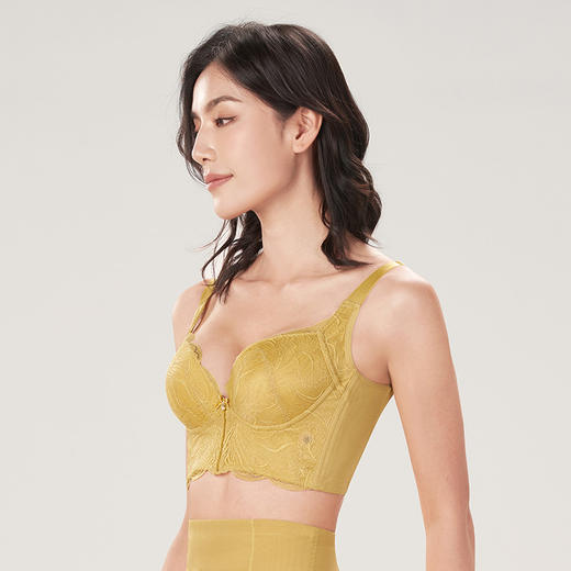 都市丽人美体纤塑AB杯适穿蕾丝调整型文胸加加厚款3/4杯塑身文胸无钢圈内衣五排扣新年本命年红品LJ31Q2 商品图1
