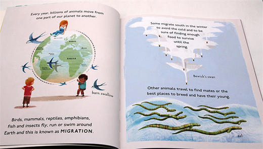 Collins柯林斯 动物动物去哪里 英文原版绘本 Amazing Animal Journeys 神奇的动物之旅 英文版儿童启蒙图画故事书 英语学习绘本读物 进口书籍 商品图3
