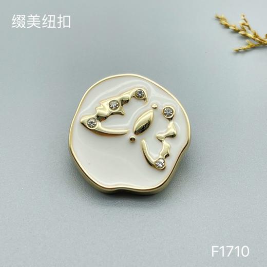 F1710 商品图1