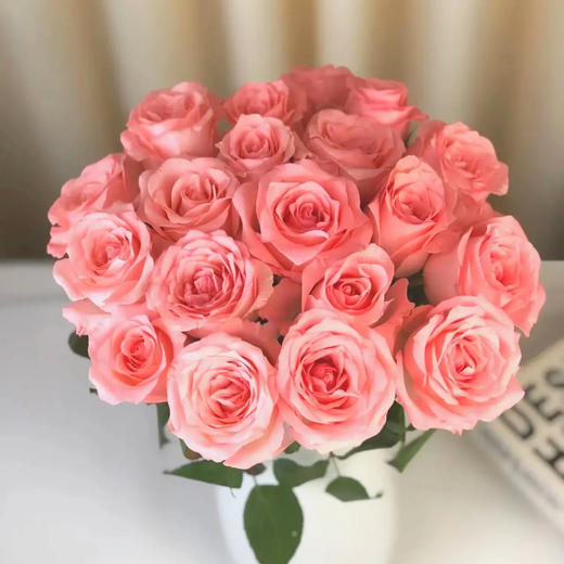 戴安娜 粉色玫瑰 20支/扎 云南基地发货 （价格已包含包装费用） 运费以实际为准，多退少补。 商品图5