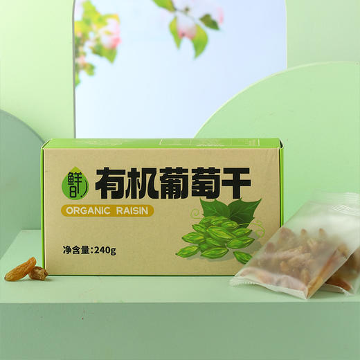 鲜8有机绿香妃葡萄干240g*2盒，有机认证，粒大肉厚，细腻香甜 商品图9