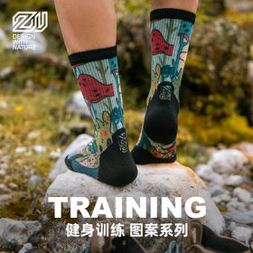 【领队强推款】ZEALWOOD赛乐美丽诺羊毛徒步登山中筒袜（男女款）