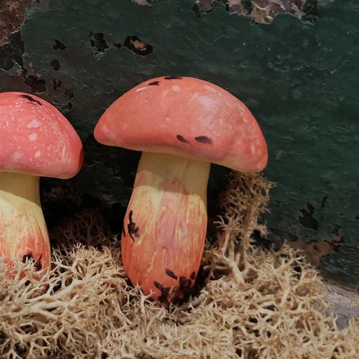 七口实验室丨见手青冰箱贴 商品图0