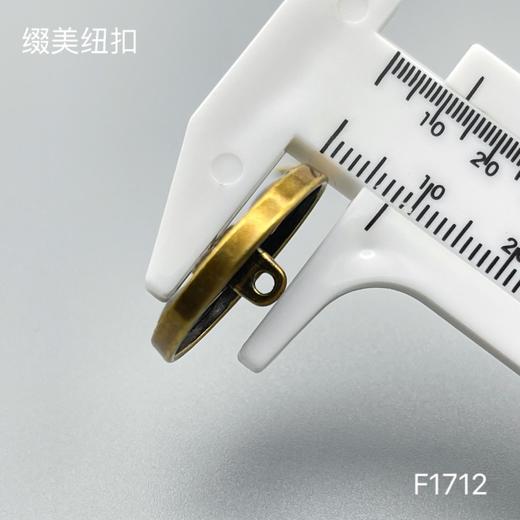 F1712 商品图5