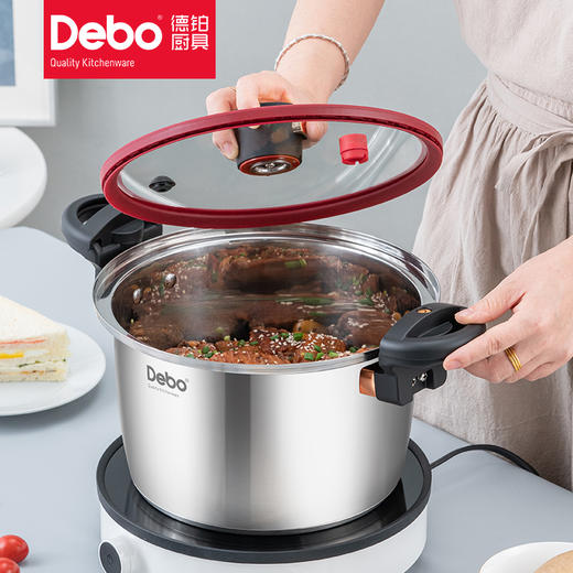 debo德铂沃尔姆斯304不锈钢微压锅 商品图4