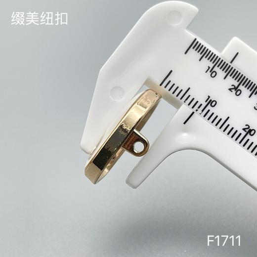 F1711 商品图5