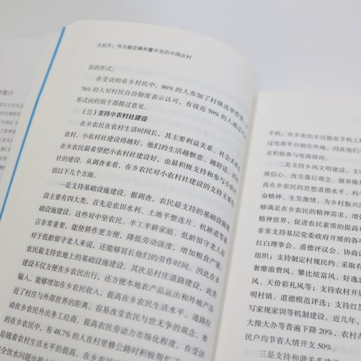 《大后方：作为稳定器和蓄水池的中国农村》 商品图11