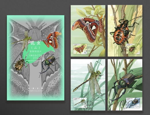 《昆虫（二）》极限片 商品图0