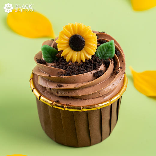 （预约验券专用）【春晖·纸杯蛋糕】验券不成功不发货，选择款式，备注平台+券码，下单支付0.01元即可 商品图1