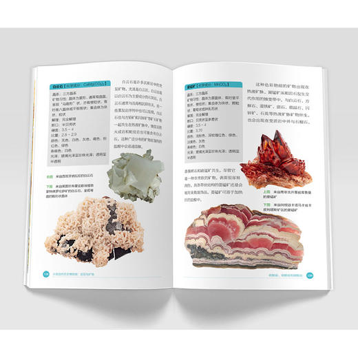 大英自然历史博物馆 : 岩石与矿物-分销 商品图6