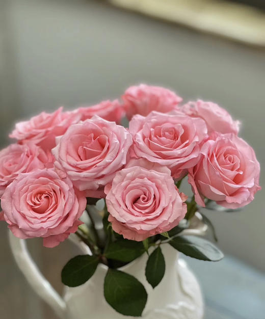 【昆明玫瑰】戴安娜  20支/扎 商品图2