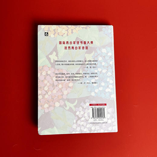 【签名版】倾听未来的声音 艾琳主编 青少年现代诗歌 商品图2