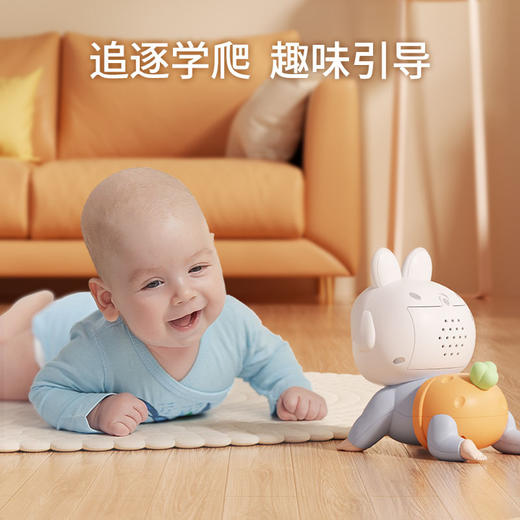 【益智启蒙！追逐学爬】婴幼儿爬行玩具，宝宝学爬哄娃，早教益智玩具0-1岁li 商品图1