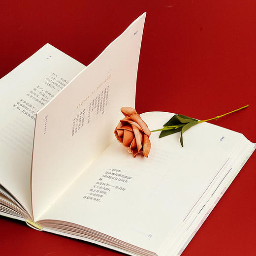 【签名版】倾听未来的声音 艾琳主编 青少年现代诗歌 商品图9