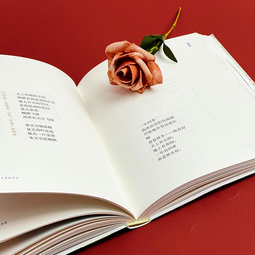 【签名版】倾听未来的声音 艾琳主编 青少年现代诗歌 商品图10