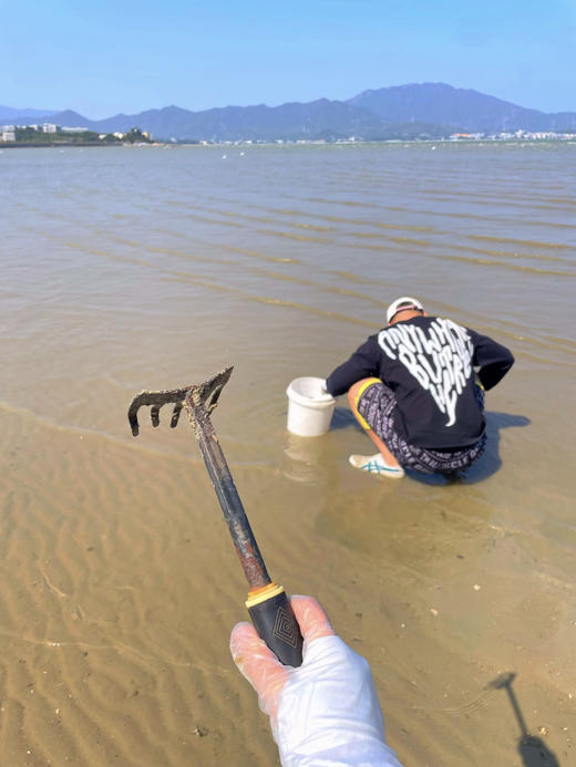 【泊寓户外】10月28日深圳大鹏水头，赶海，烧烤大餐之旅 商品图2