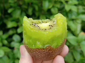 顺丰包邮到家！徐香猕猴桃，产地陕西眉县，央视认证！自家果园，果期一年只有一个月，现摘现发，安全放心！绿色有机！口感酸甜舒爽！五斤/箱，20-25枚