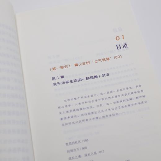 《父母的期望：克服家庭和校园中的骄纵文化》 商品图6