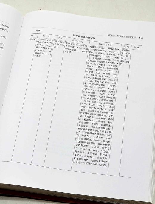 残书拯救，售出不退！！《里耶发掘报告》，精装，16开厚册，铜版彩印，岳麓书社2007年版，定价600，售价78元。品相如图。 商品图14