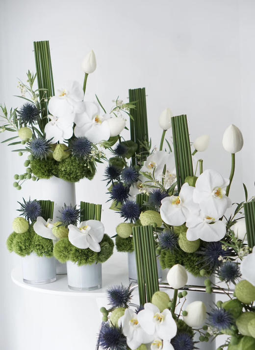 水竹叶  约5枝/扎 商品图0