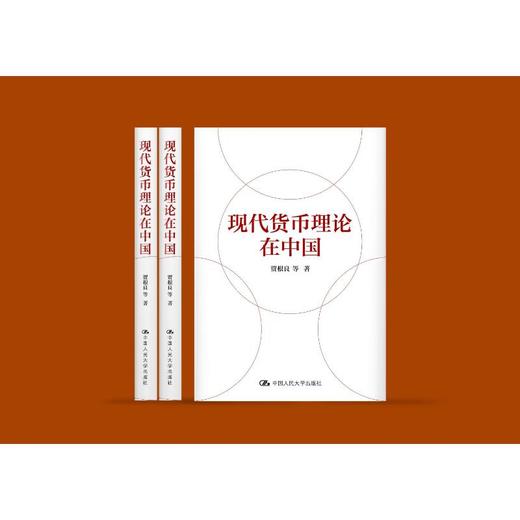 现代货币理论在中国 商品图1