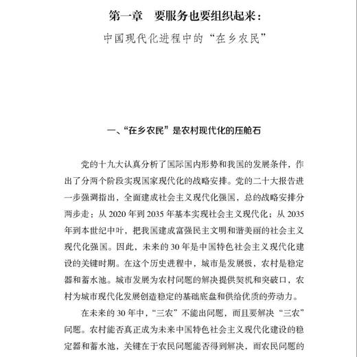 《大后方：作为稳定器和蓄水池的中国农村》 商品图6
