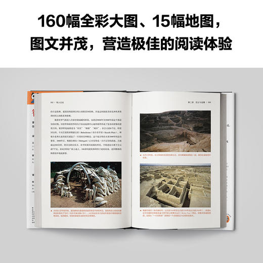 读客智人全史 曾经有17个人种在地球上出现过，但只有智人存活至今！ 商品图4