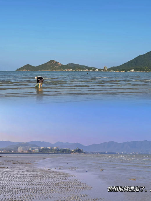 【泊寓户外】10月28日深圳大鹏水头，赶海，烧烤大餐之旅 商品图0