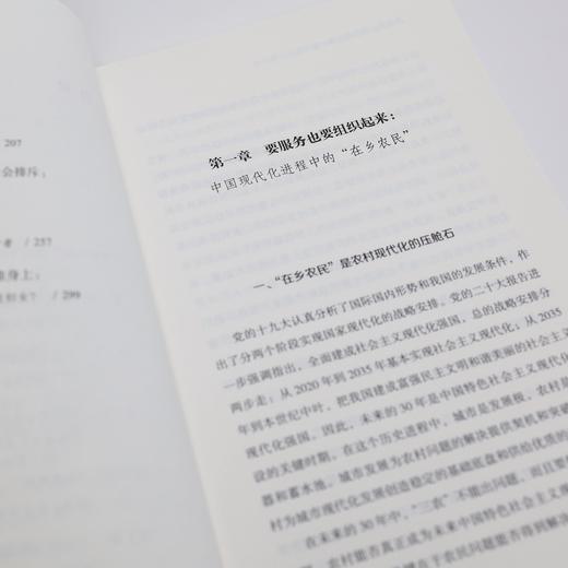 《大后方：作为稳定器和蓄水池的中国农村》 商品图14
