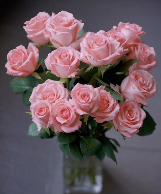 【昆明玫瑰】戴安娜  20支/扎 商品图4