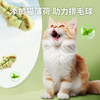麦斯蒂 猫草饼干60g\120g 磨牙洁齿化毛球 猫咪零食 商品缩略图3