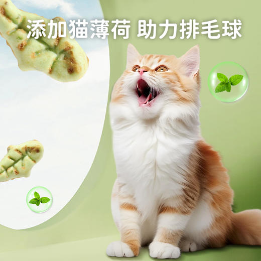 麦斯蒂 猫草饼干60g\120g 磨牙洁齿化毛球 猫咪零食 商品图3