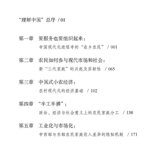 《大后方：作为稳定器和蓄水池的中国农村》 商品图4