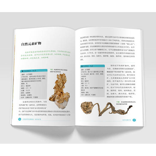 大英自然历史博物馆 : 岩石与矿物-分销 商品图5