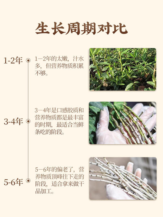 正宗霍山铁皮石斛 特级鲜条 商品图5