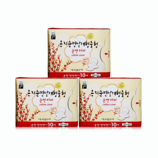 KJ 恩芝韩国原装进口超薄日用卫生巾250mm10片纯棉柔亲肤透气 商品图0
