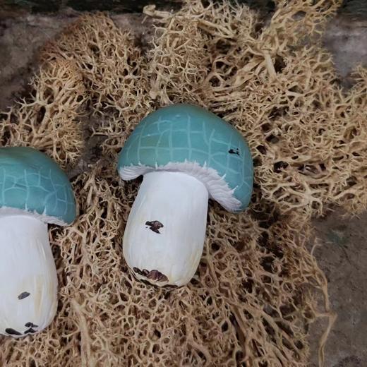 七口实验室丨青头菌冰箱贴 商品图0