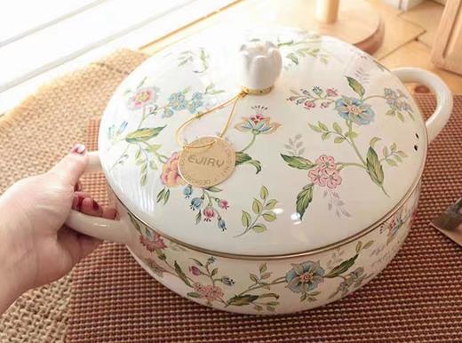 锅富士珐琅锅铸铁海鲜锅20CM普罗旺斯系列 商品图0